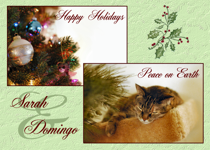2009 Holiday Card