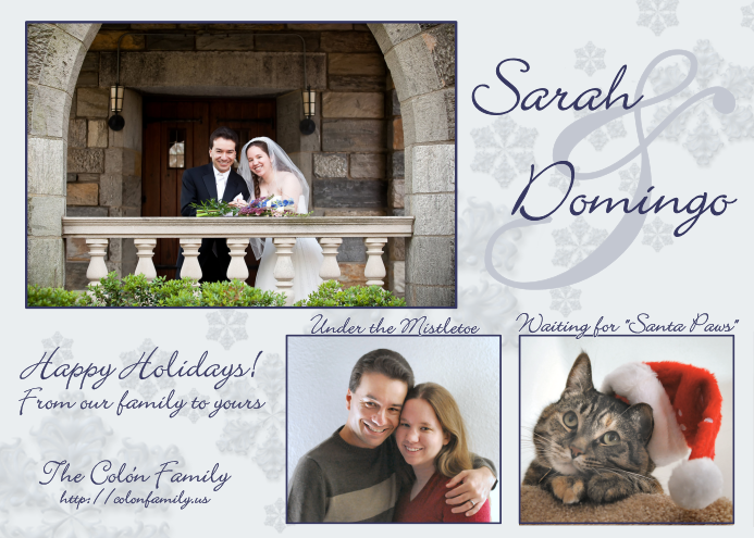 2010 Holiday Card