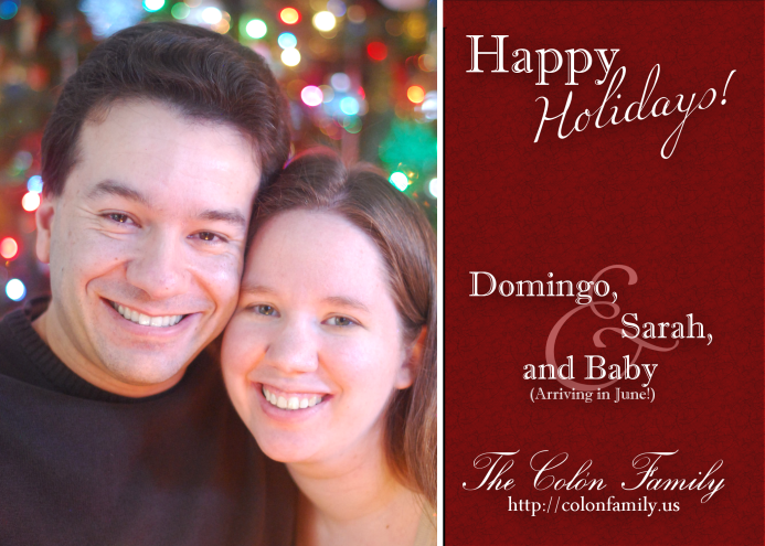 2011 Holiday Card