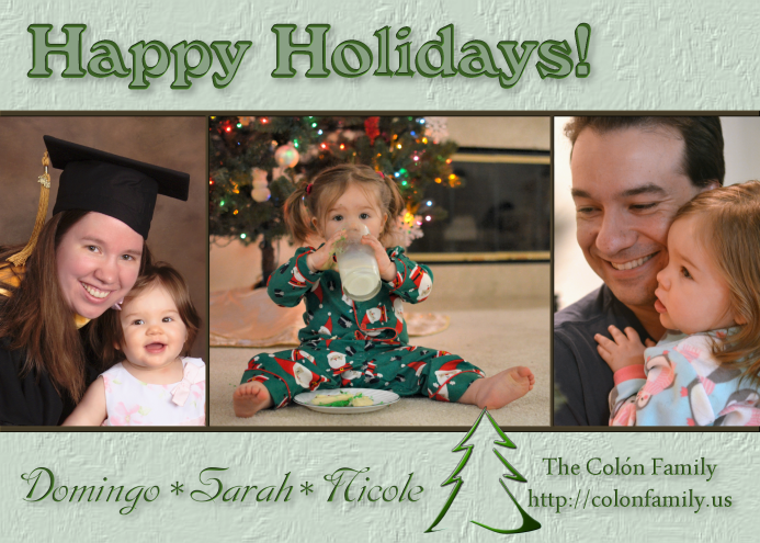 2013 Holiday Card